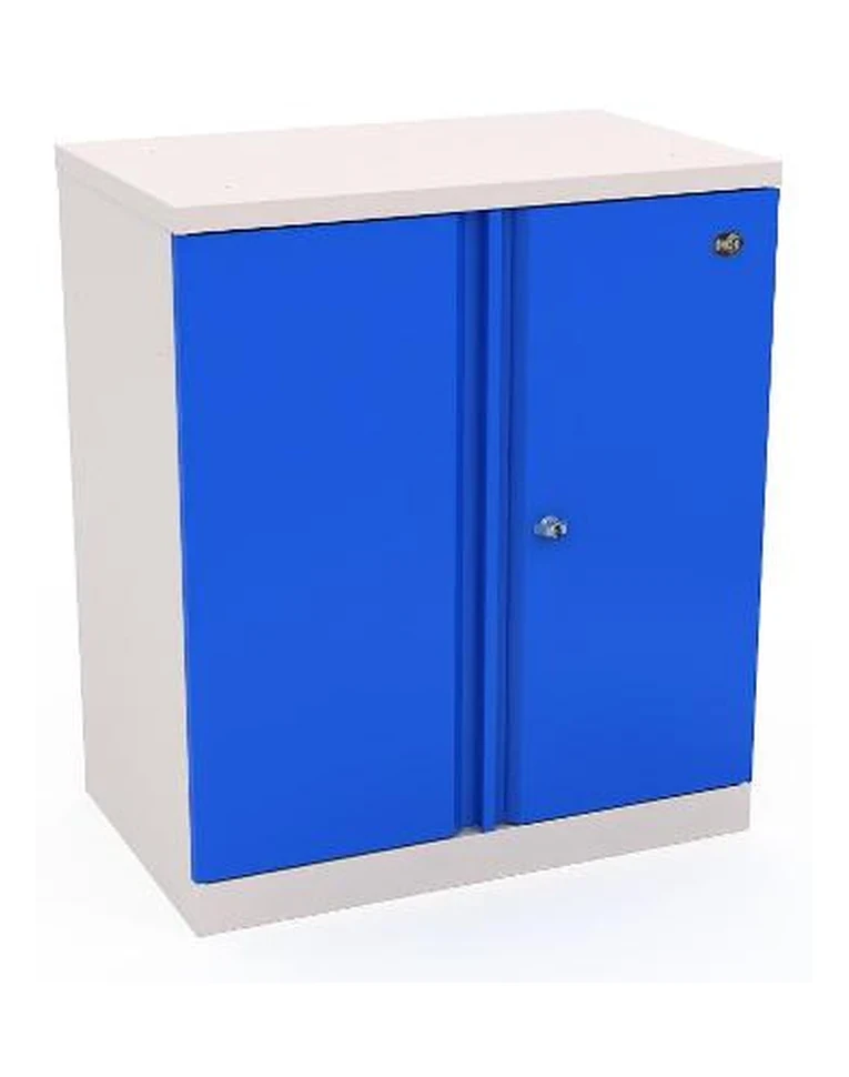Шкаф инструментальный ERGO 181/2 №12 купить в Владимире