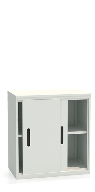 Шкаф-купе архивный ALS-8896 купить в Владимире