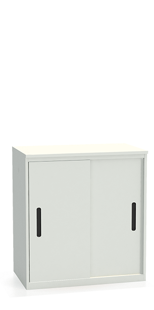 Шкаф-купе архивный ALS-8896 купить в Владимире